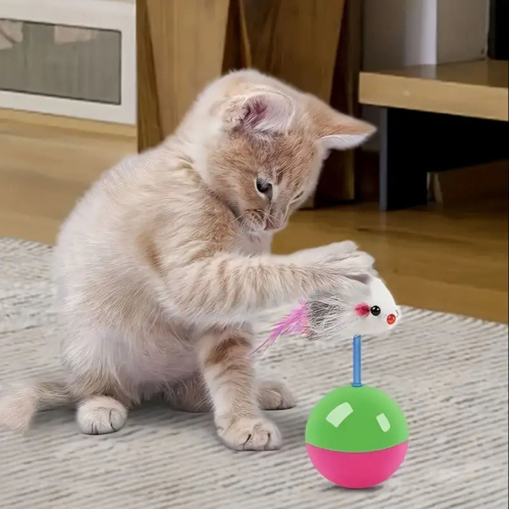 jouet-pour-chat-amusant-bascule