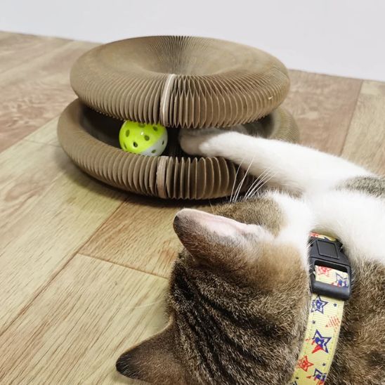 jouet-pour-chat-balle