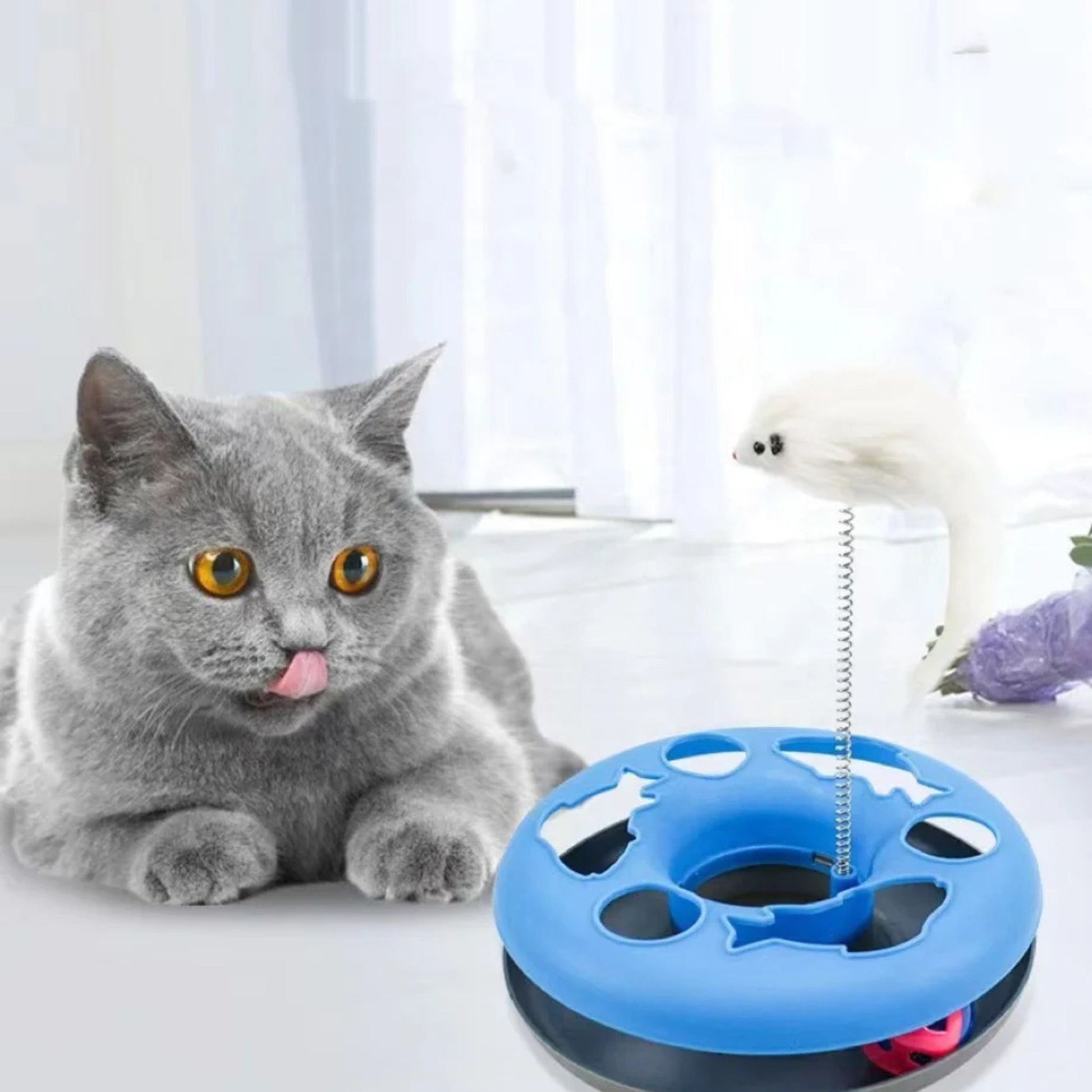 jouet-pour-chat-bleu-captivant