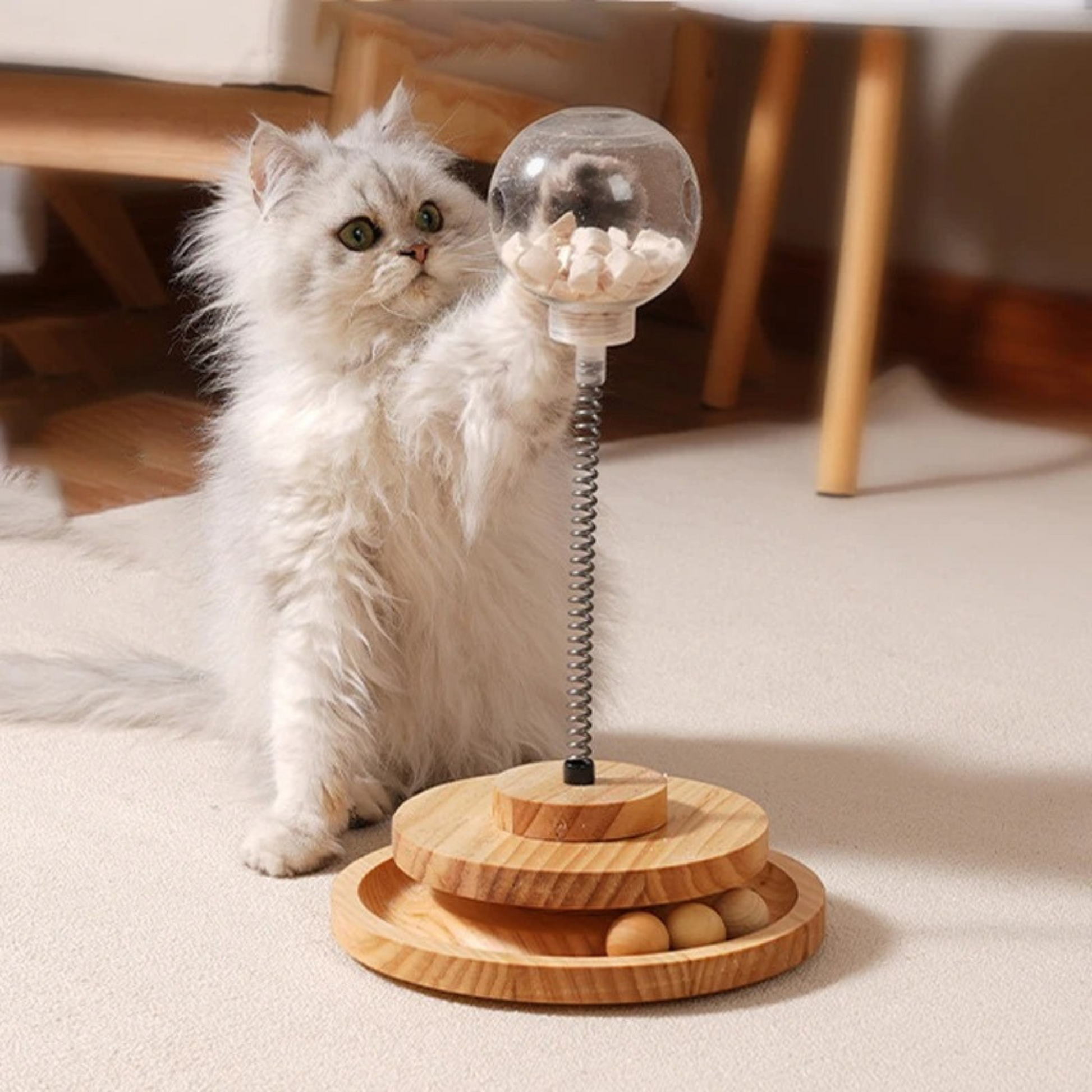 jouet-pour-chat-boulles