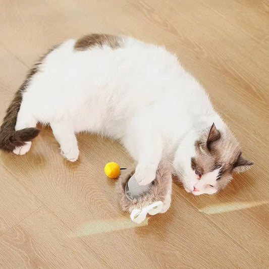 jouet-pour-chat-exercice