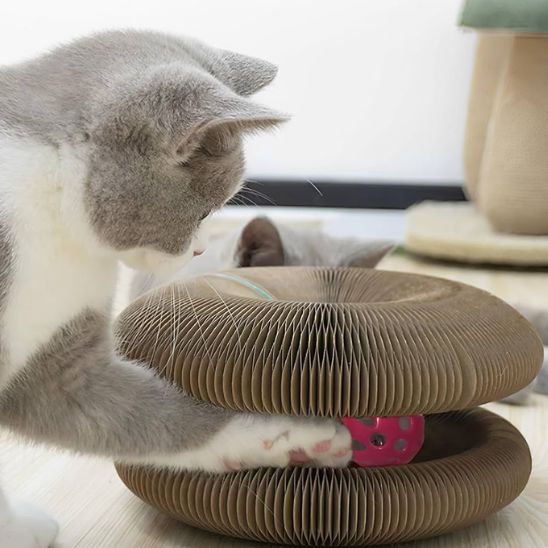 jouet-pour-chat-griffoir