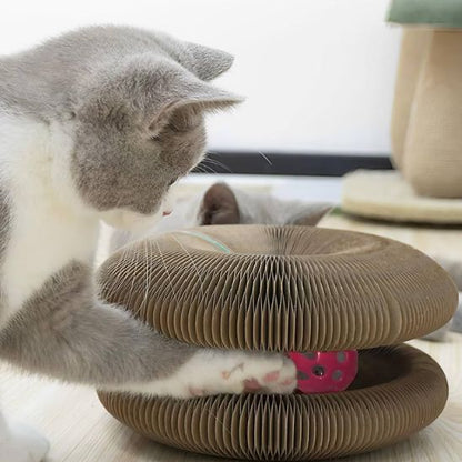 jouet-pour-chat-griffoir