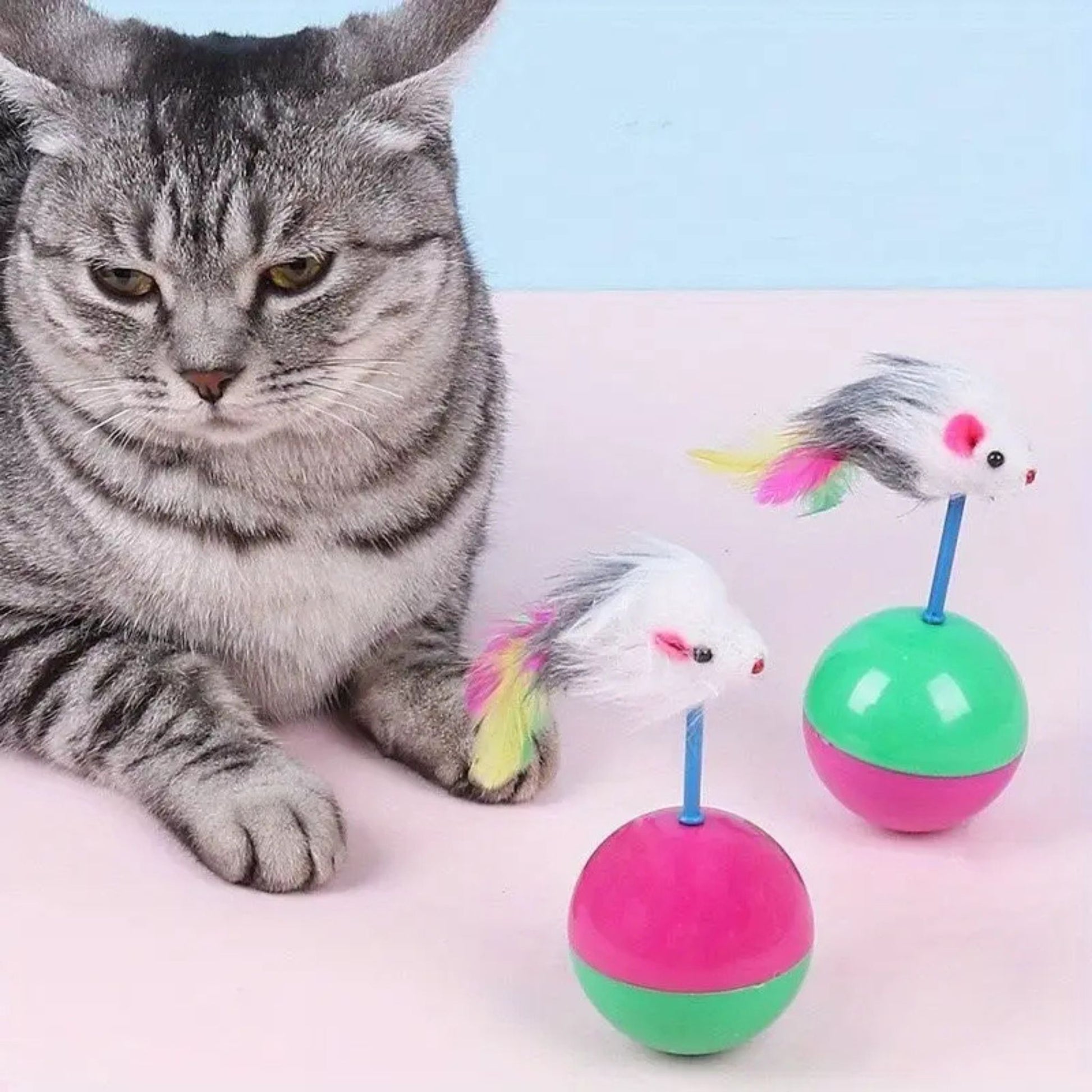 jouet-pour-chat-intrigant