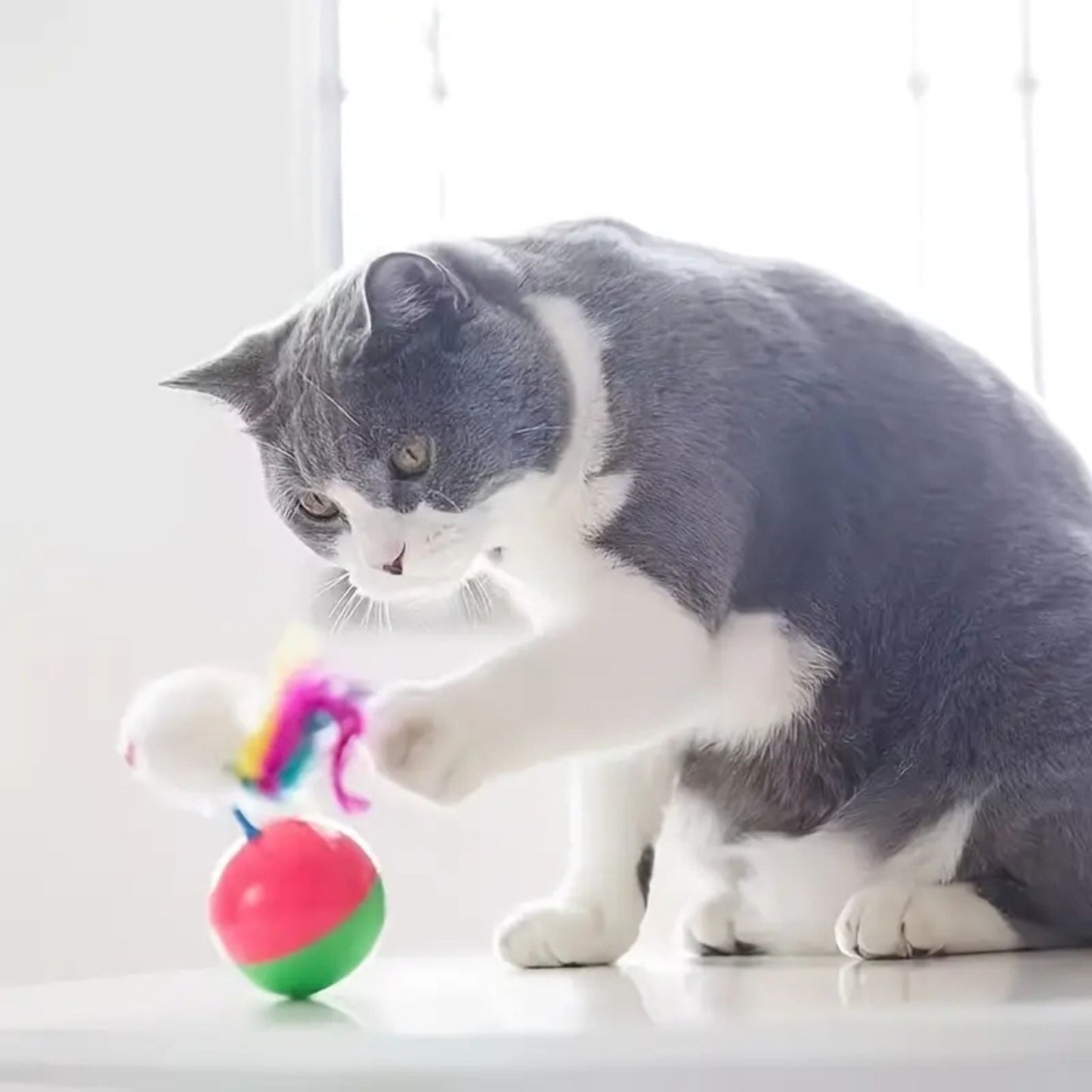 jouet-pour-chat-joumouseball