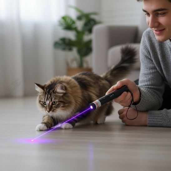 jouet pour chat laser amusant