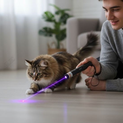jouet pour chat laser amusant