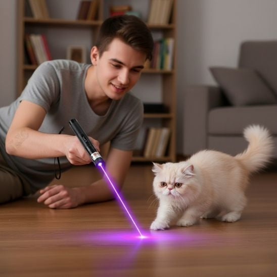 jouet pour chat laser stimulation