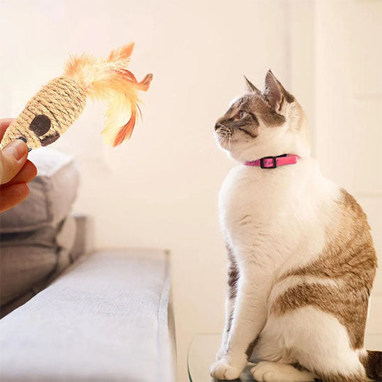 jouet-souris-pour-chat-cadeau