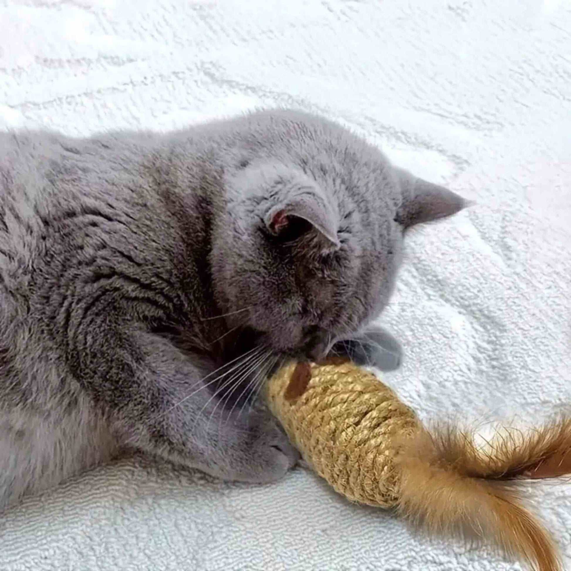 jouet-souris-pour-chat-durable