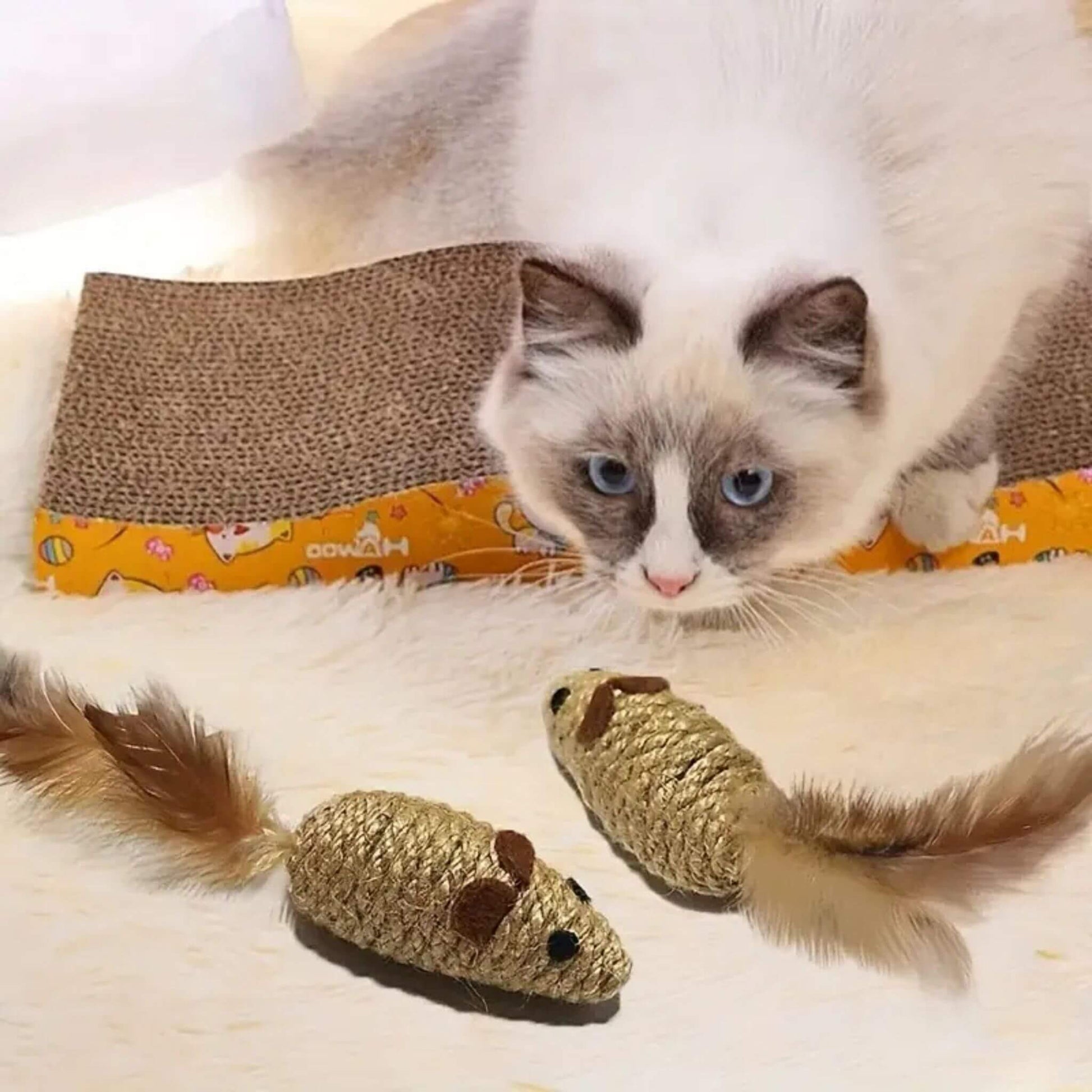 jouet-souris-pour-chat-intrigante