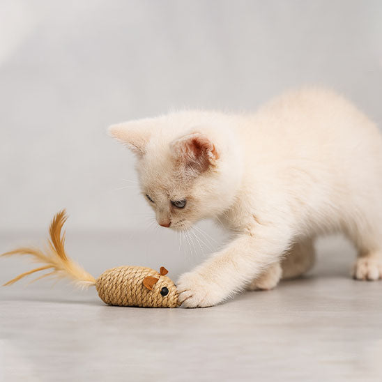 jouet-souris-pour-chat-naturel