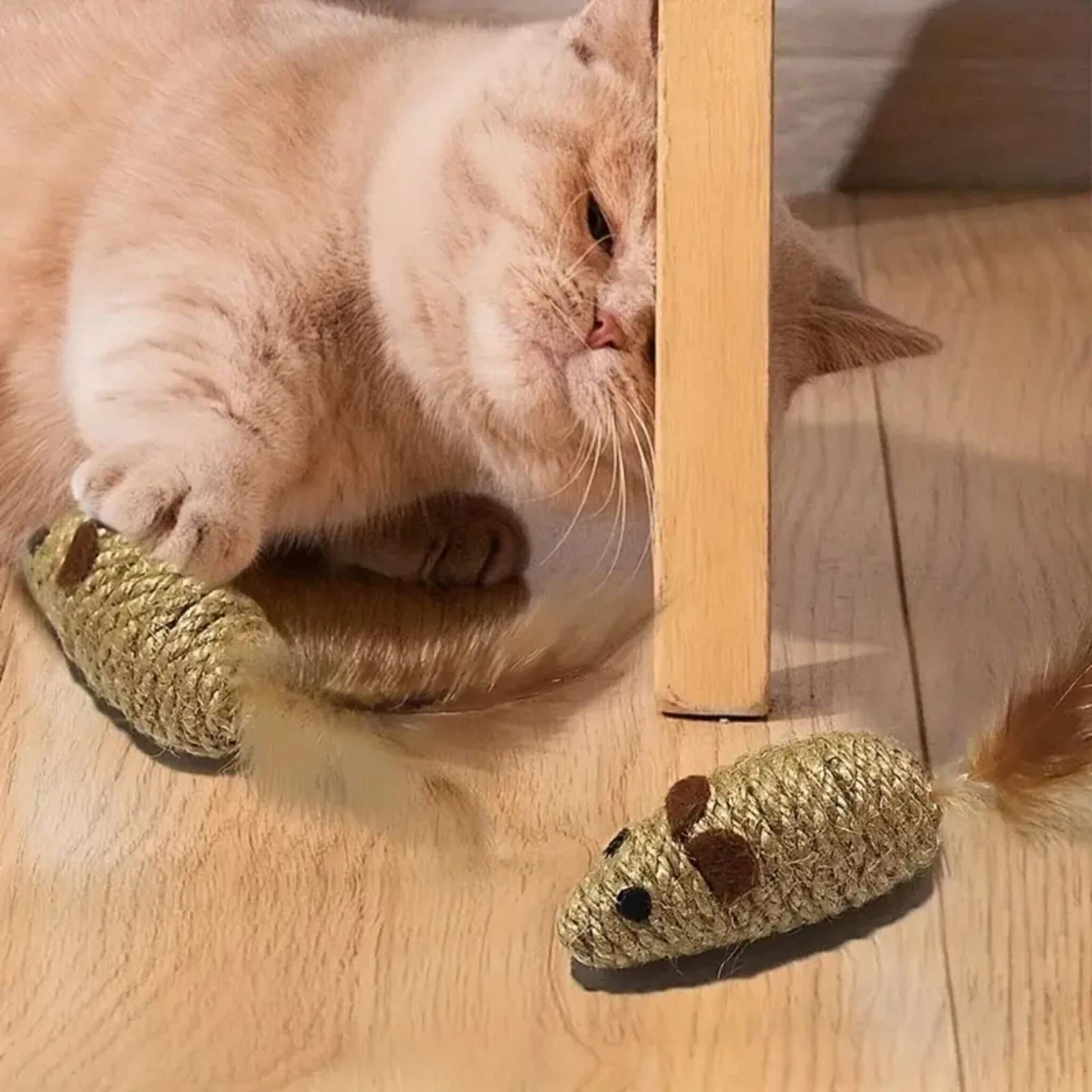 jouet-souris-pour-chat-rigolote