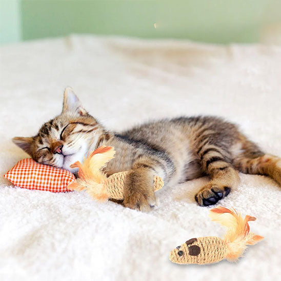 jouet-souris-pour-chat-solide