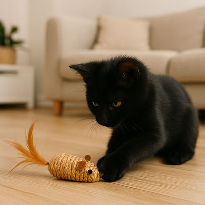 jouet-souris-pour-chat-tout-age