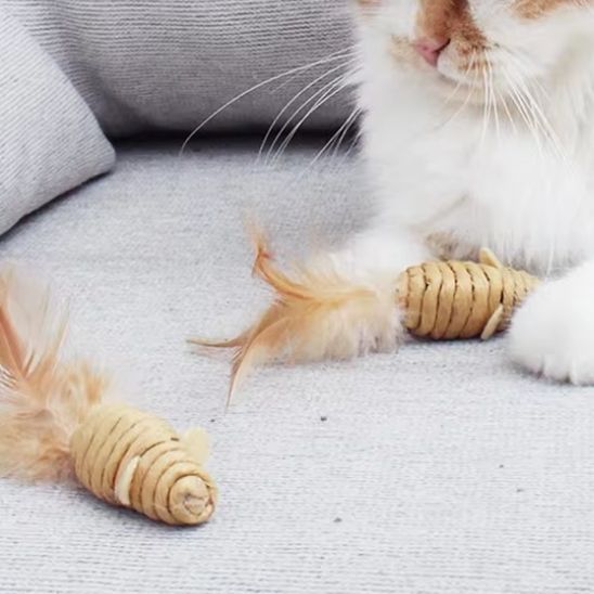jouet-souris-pour-chat-zigzag