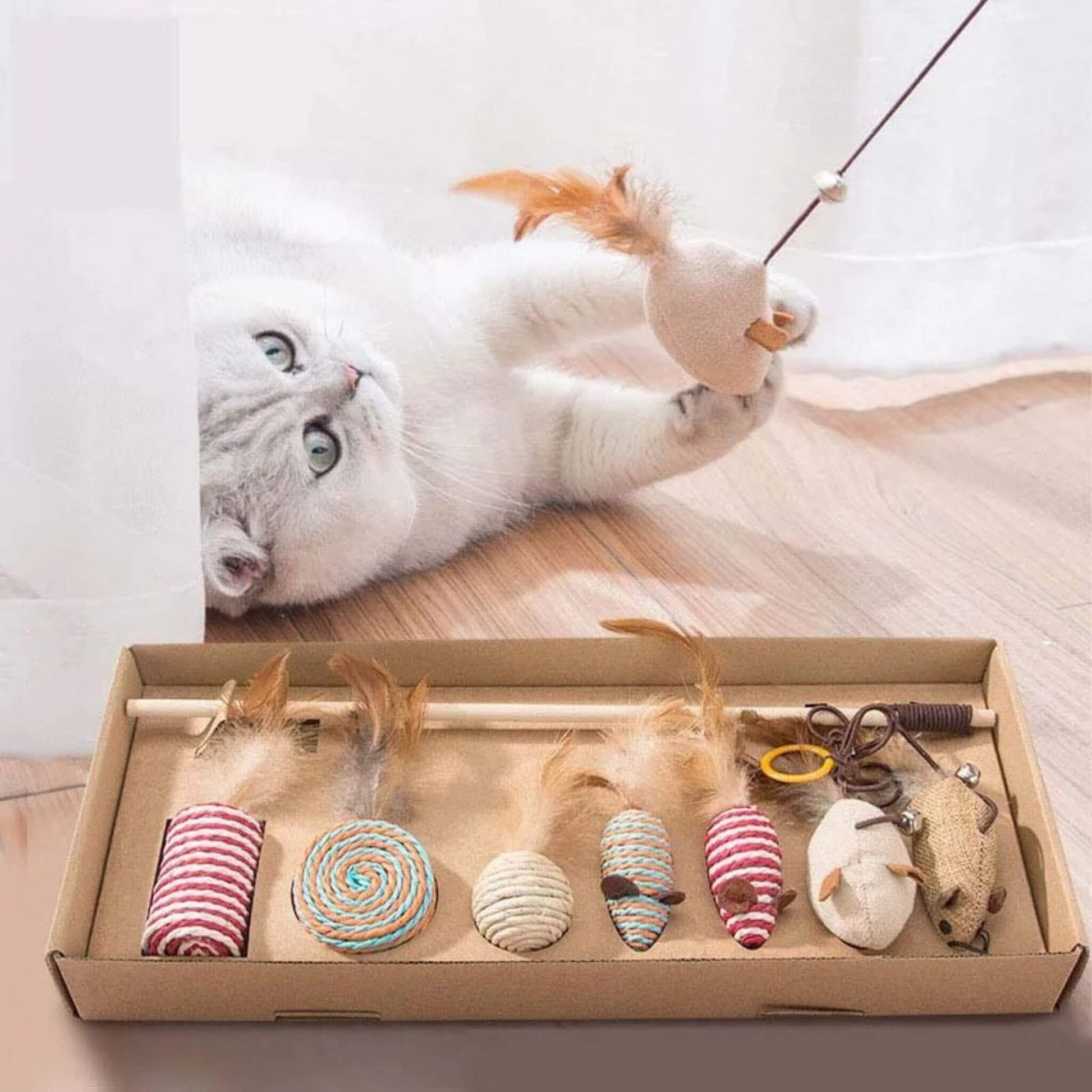 jouets-pour-chat-a-attraper