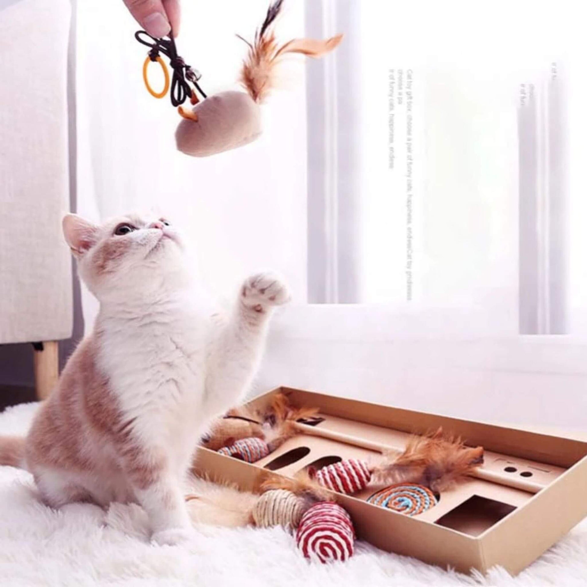 jouets-pour-chat-amusant