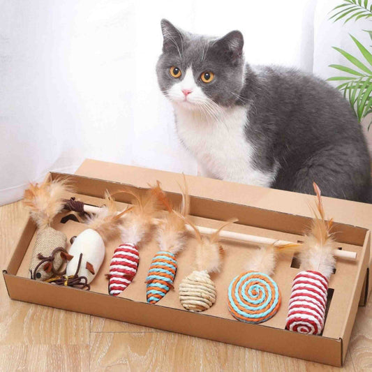 jouets-pour-chat-coffret