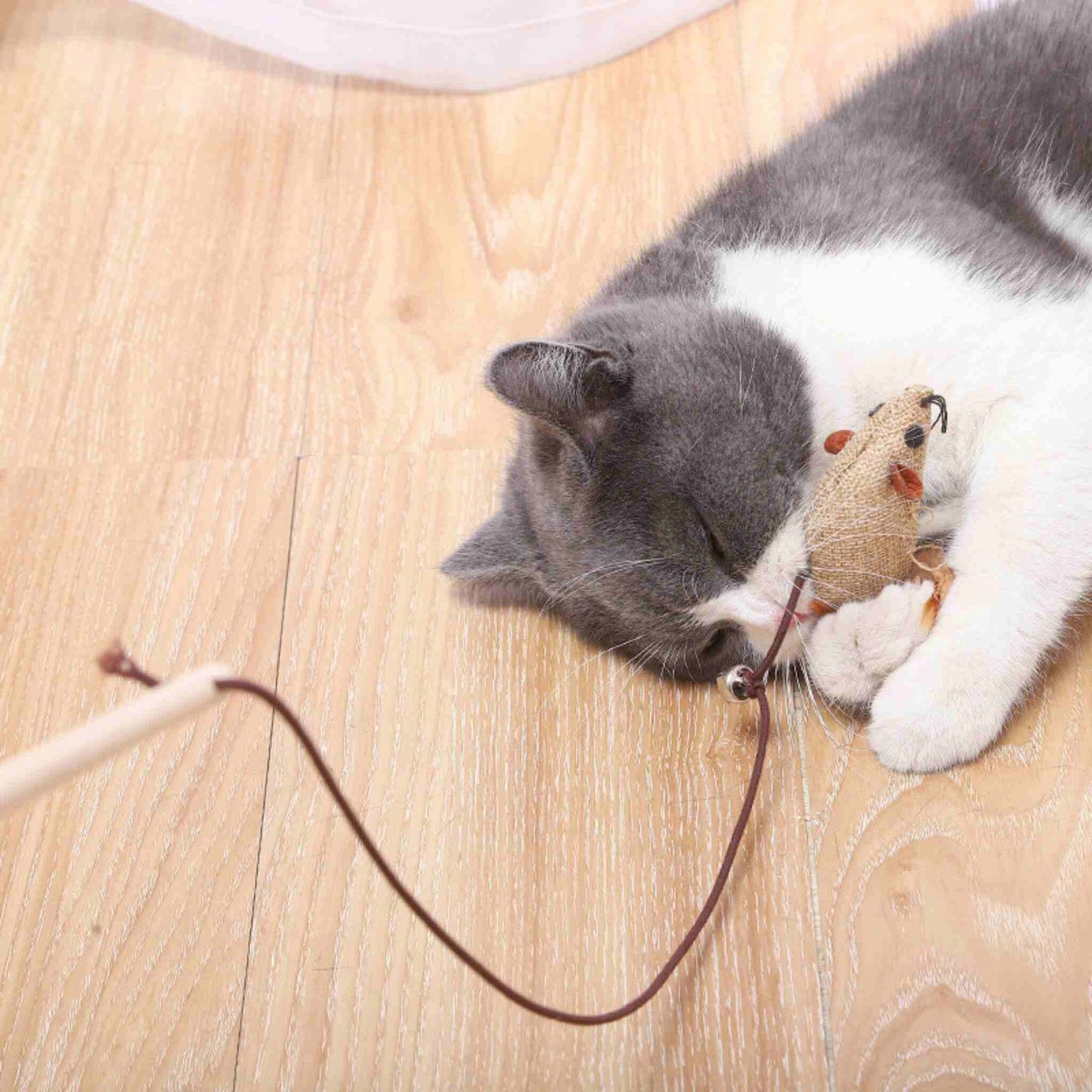 jouets-pour-chat-en-duo
