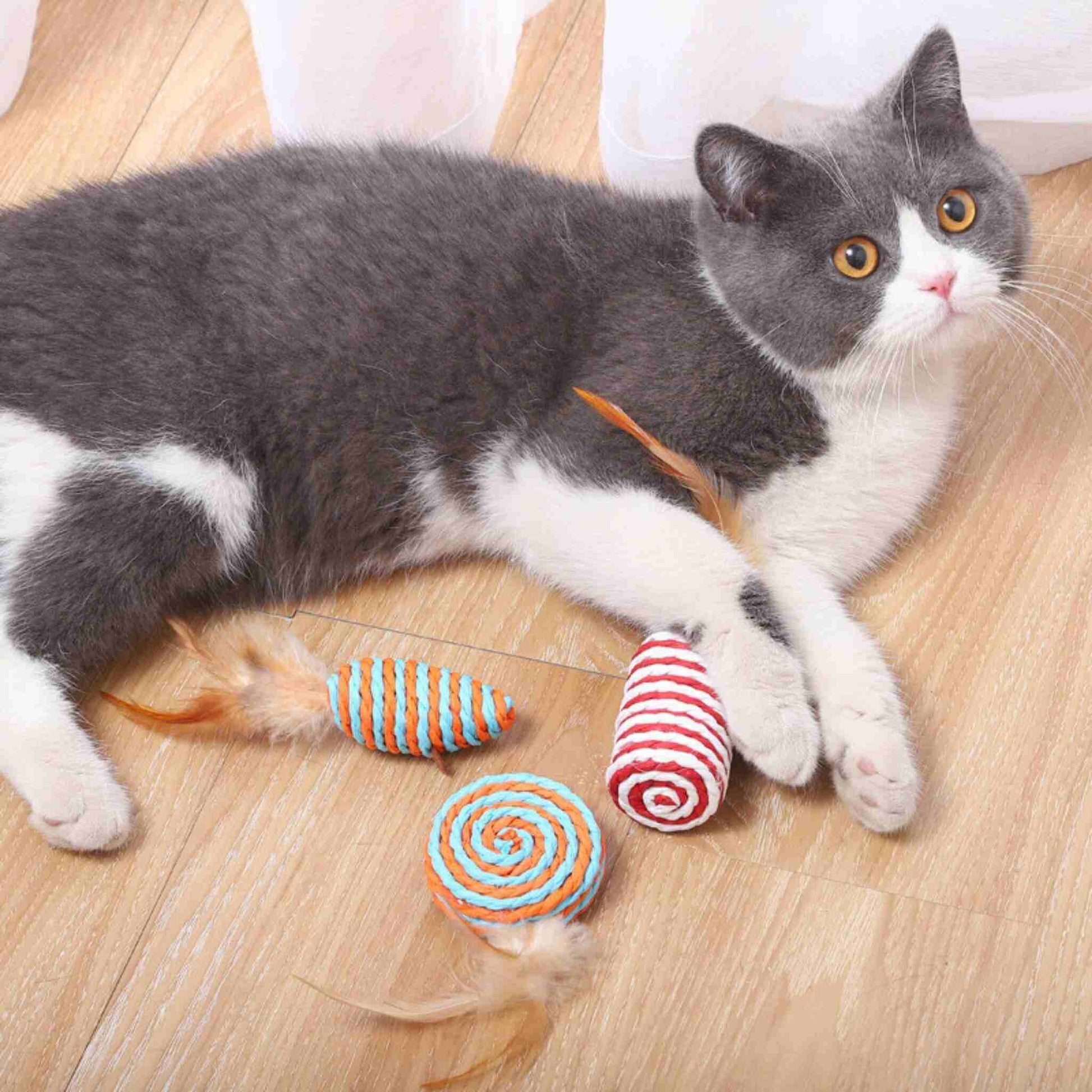 jouets-pour-chat-jeux