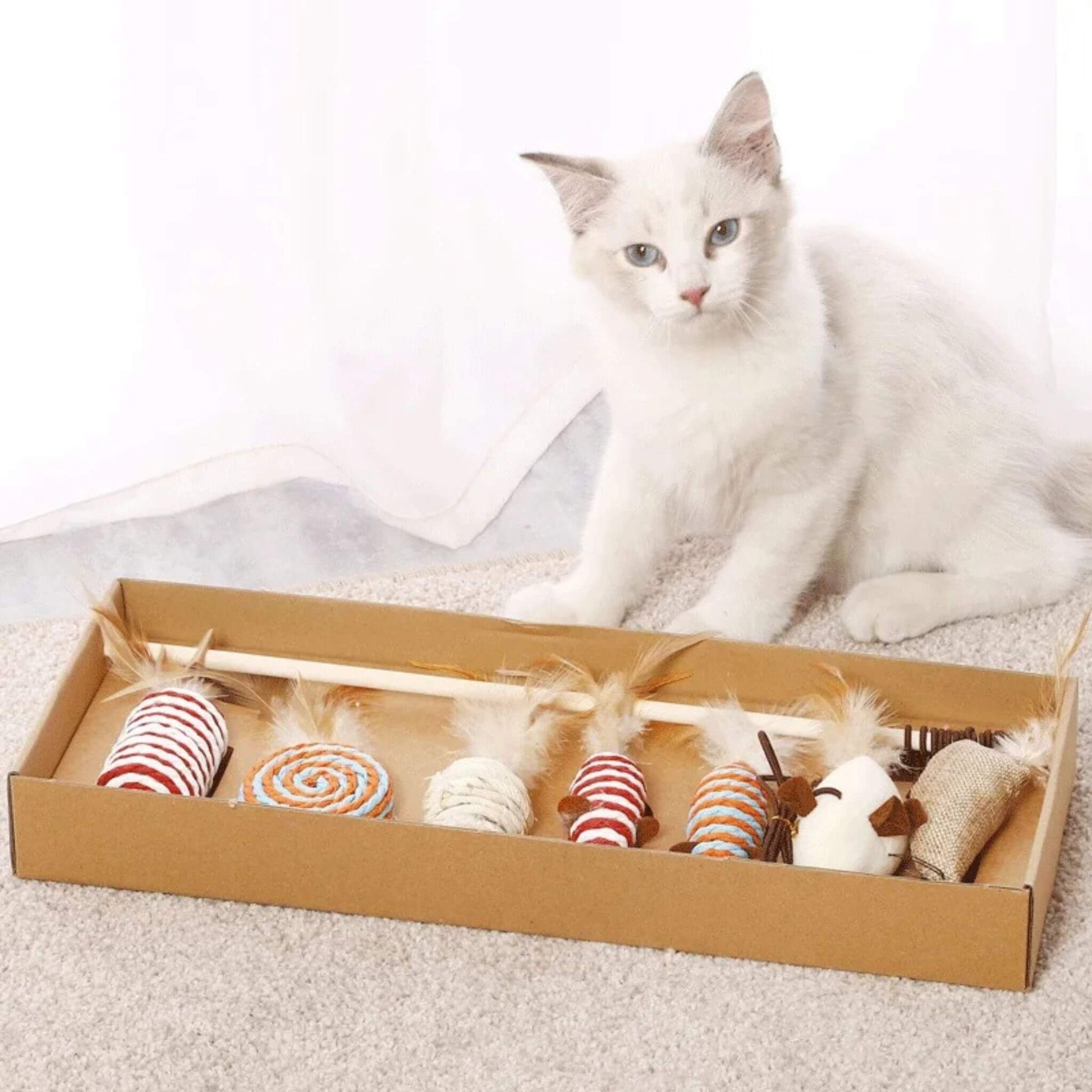 jouets-pour-chat-naturel