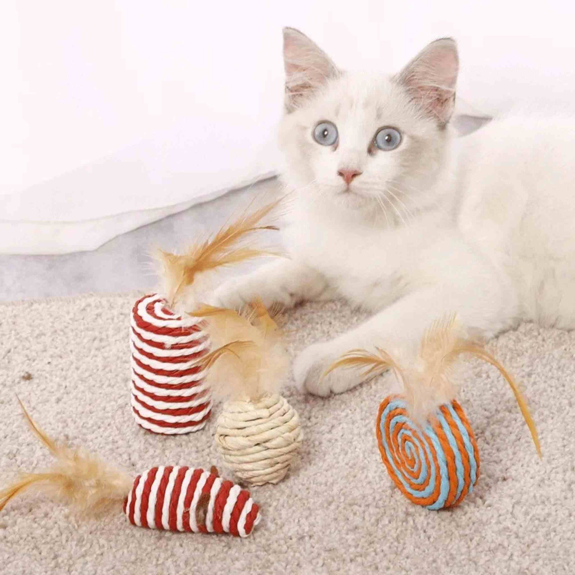 jouets-pour-chat-plume