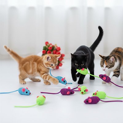 jouets-pour-les-chats-interactif