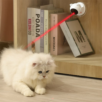 laser-pour-chat-exercice