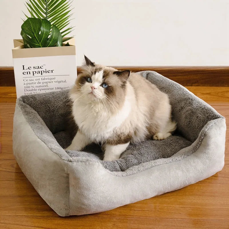 lit-pour-chat-agréable