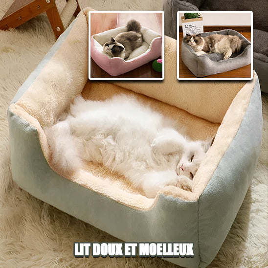 lit-pour-chat-doux