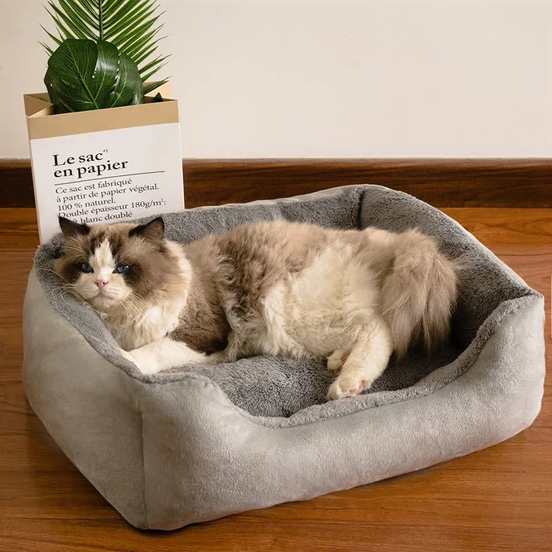 lit-pour-chat-élégant