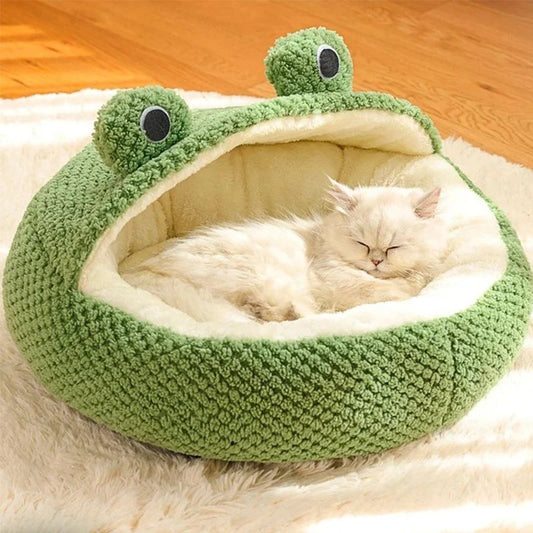 lit-pour-chat-frog