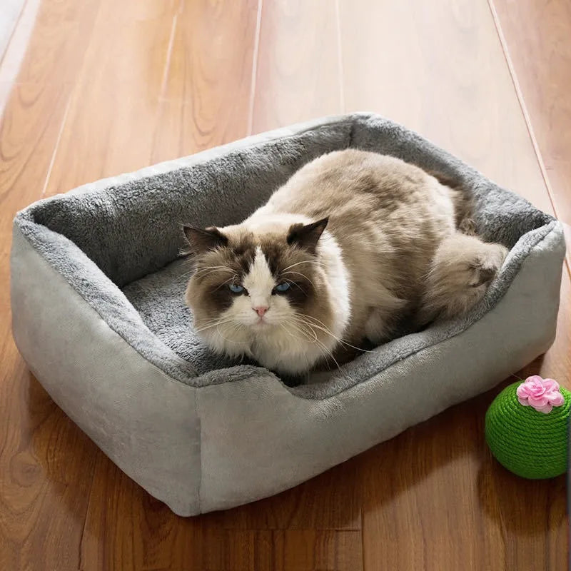 lit-pour-chat-gris