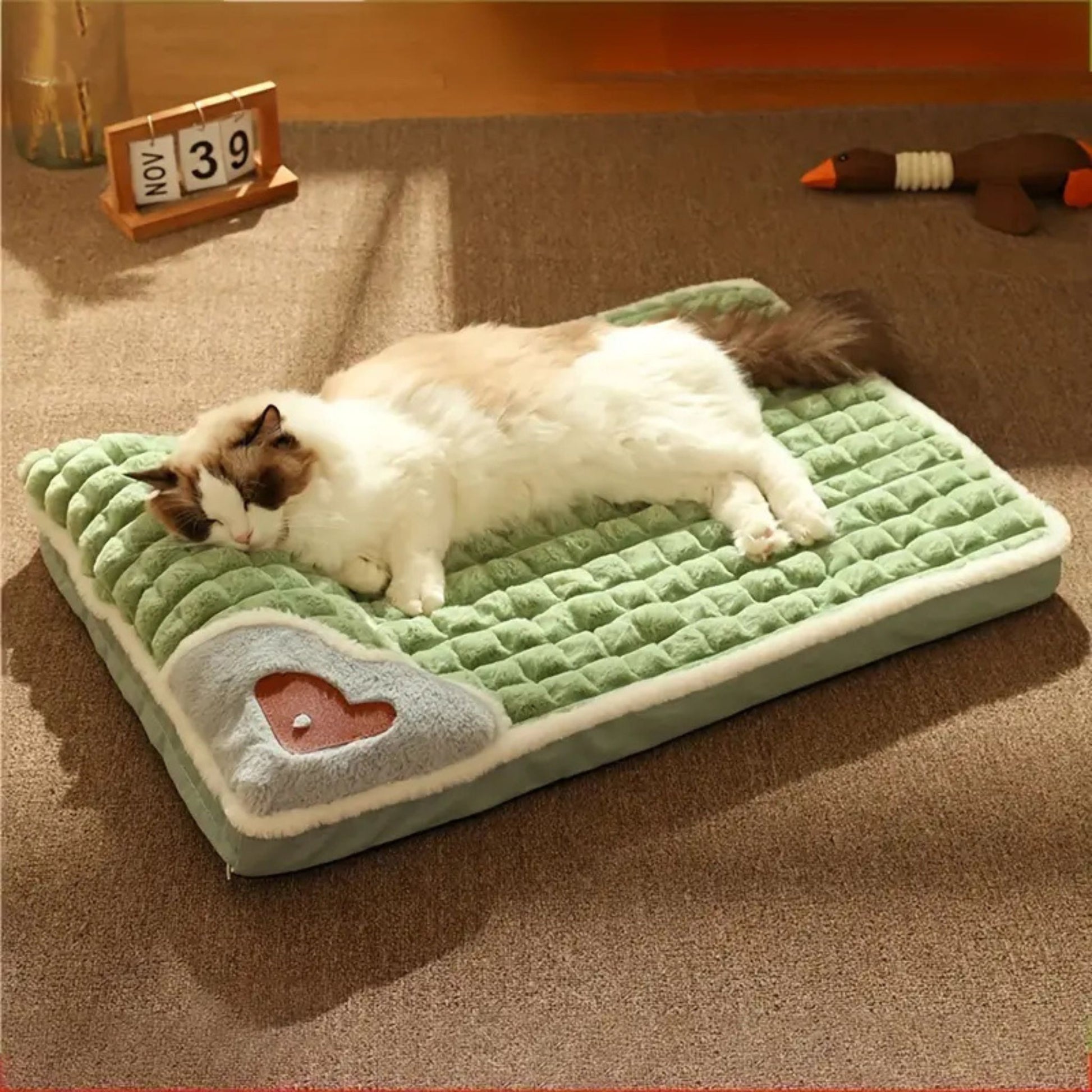 lit-pour-chat-vert-confort
