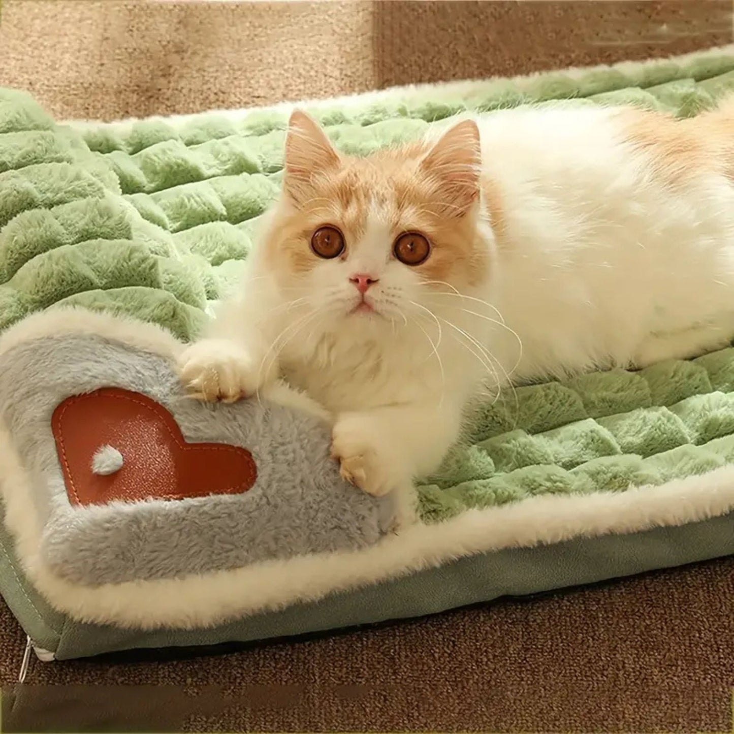 lit pour chat | DODOLUX