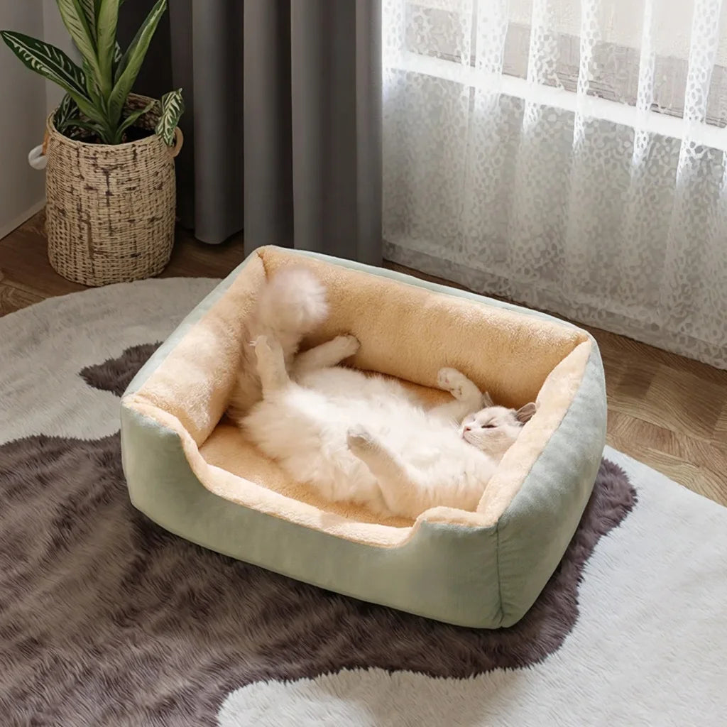 lit-pour-chat-vert-spacieux