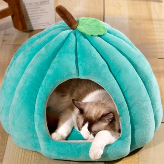 niche a chat bleue lagon citrouille