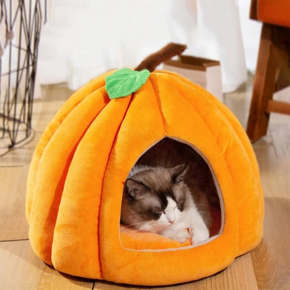 niche a chat citrouille confortable