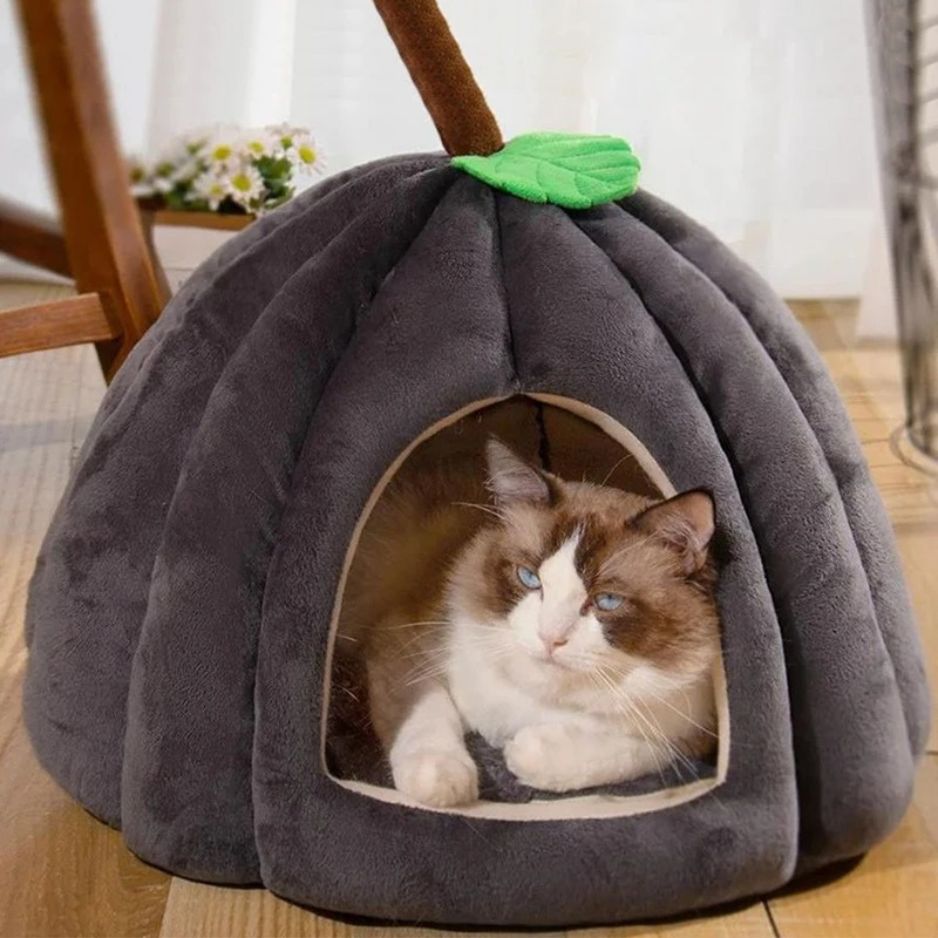 niche a chat noire citrouille
