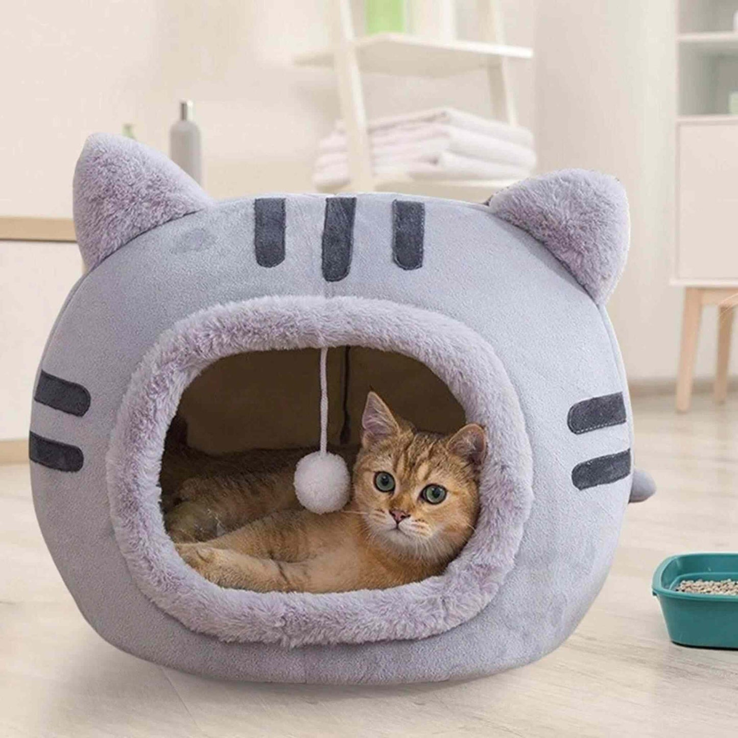 niche-chat-douce-grise