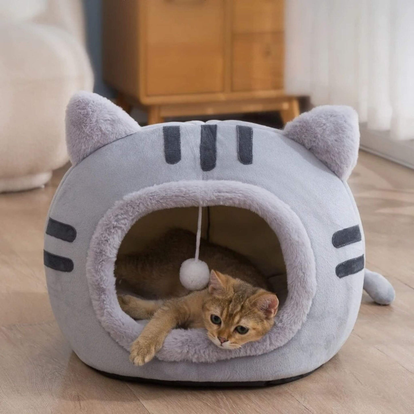 niche-chat-grise-balle