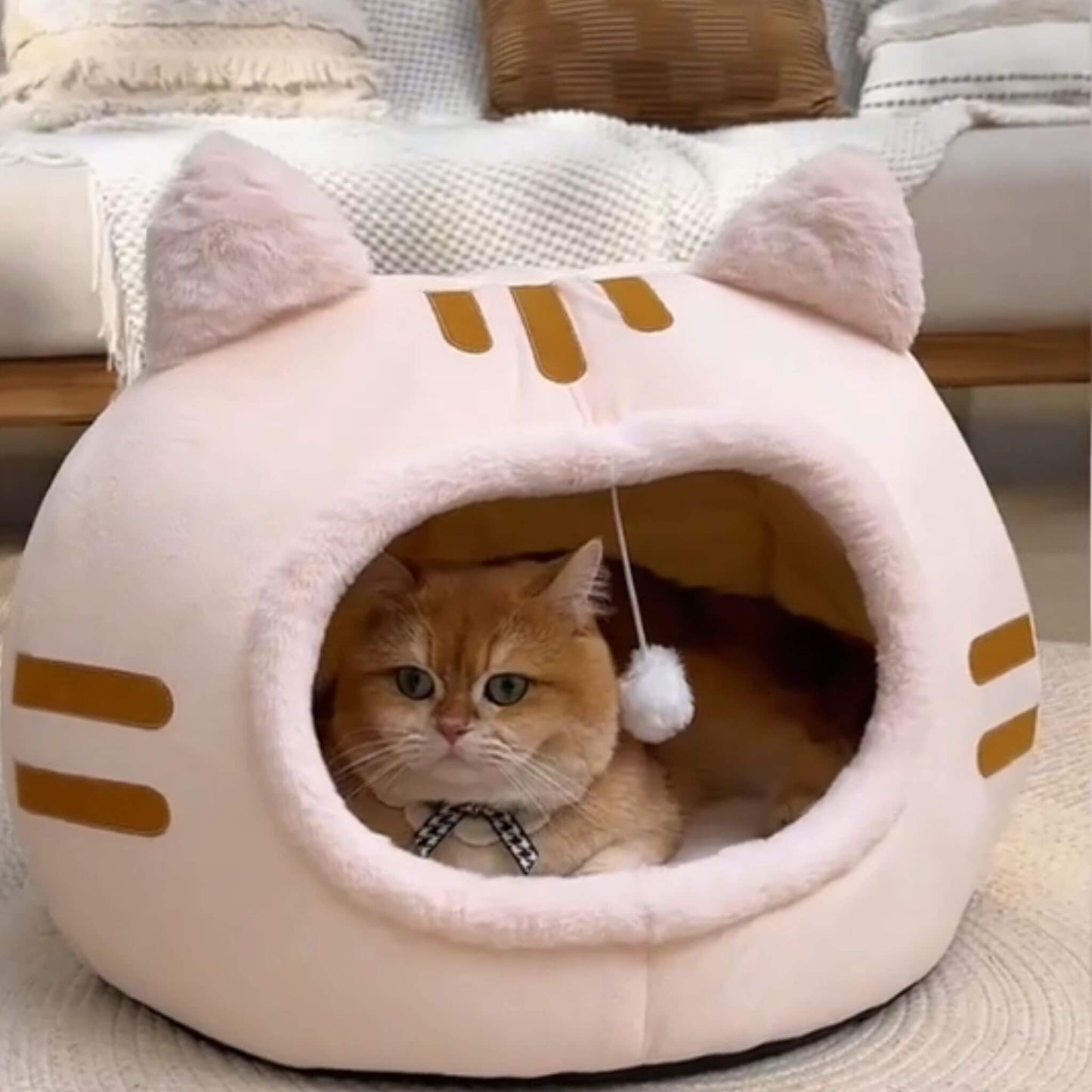 niche-chat-ludique