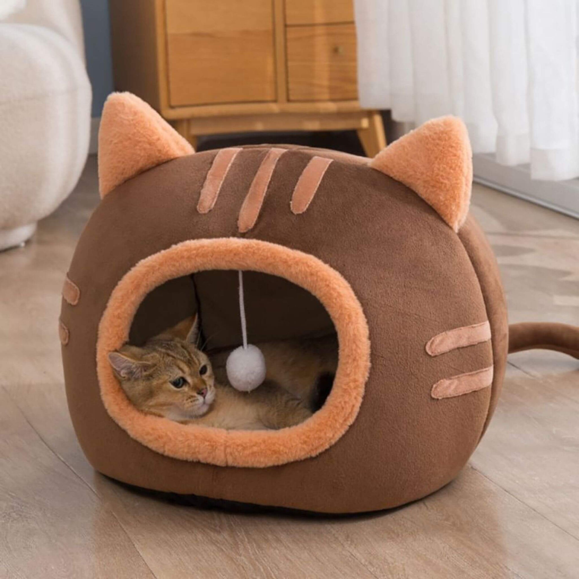 niche-chat-marron