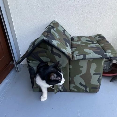 NICHE EXTERIEUR CHAT SPACIEUSE - Happy minet
