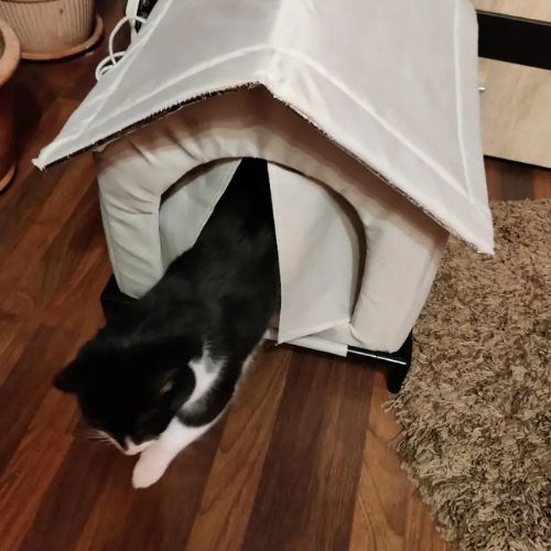 niche-exterieur-pour-chat-surelevée-grise