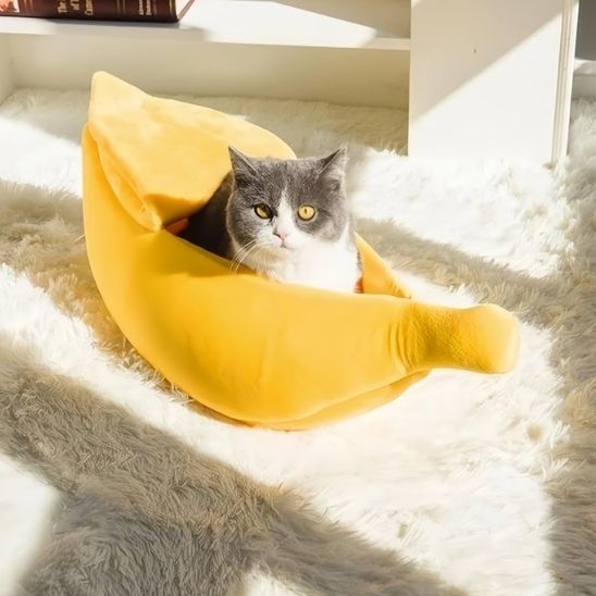 niche-pour-chat-banane-originale