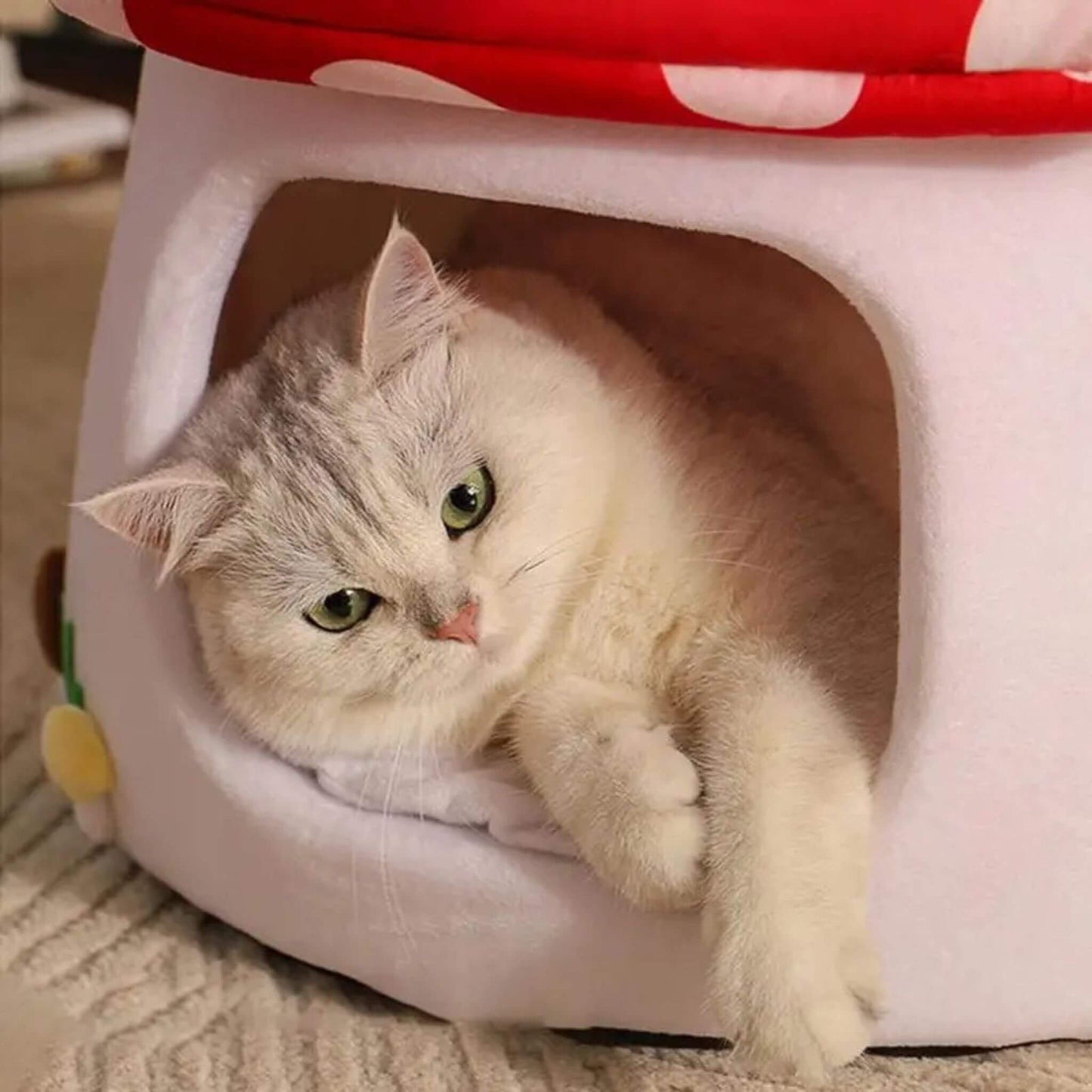 Niche pour chat intérieur Champignon
