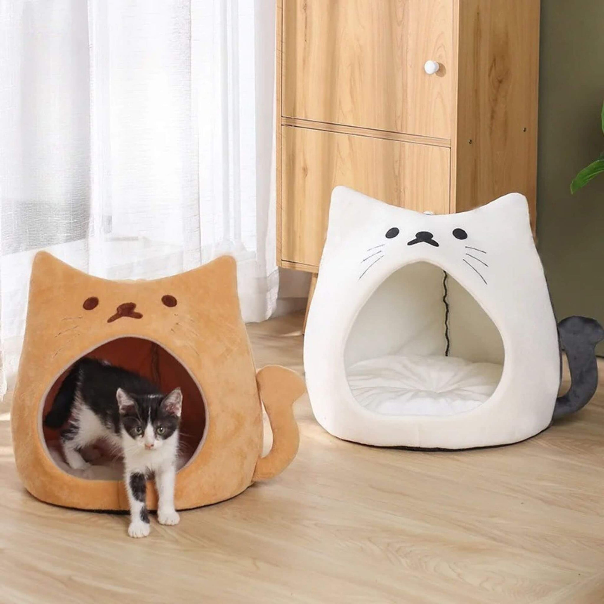 niche-pour-chaton-unique-câlinou