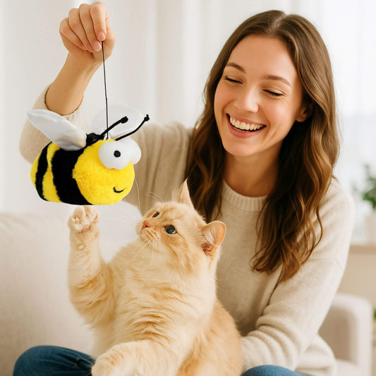 oiseau-pour-chat-abeille-volatile